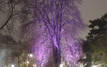 Place René Goblet, Amiens